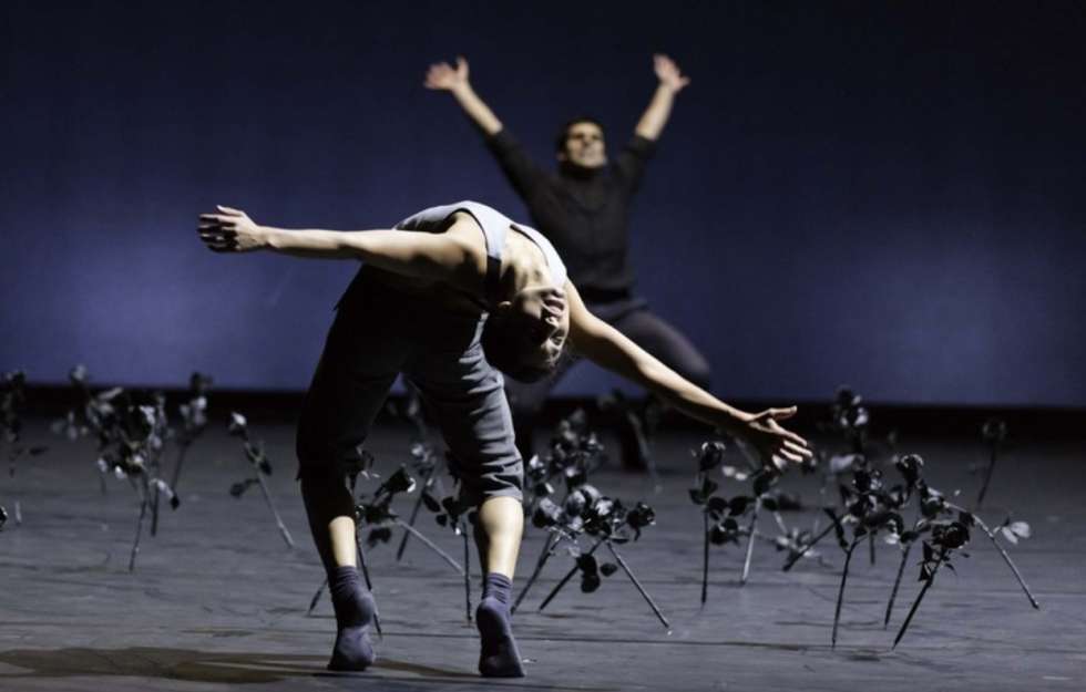 Ballett Basel Absolut Dansa